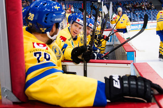 Sveriges Nicklas Danielsson pratar med Dick Axelsson på