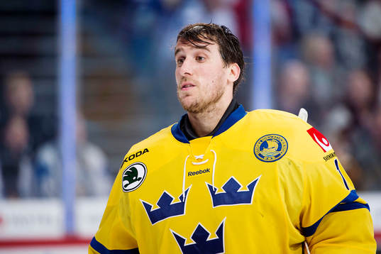 Sveriges målvakt Henrik Karlsson