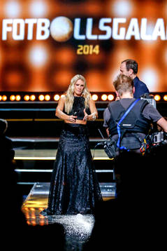 Anna Brolin, TV4