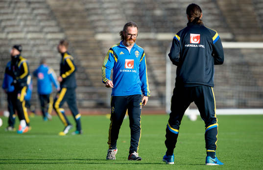 Landslagets läkare Richard Dohan och Zlatan Ibrahimovic
