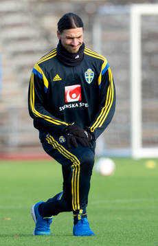Sveriges Zlatan Ibrahimovic rehabtränar