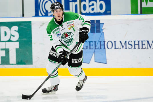 Rögles Niklas Hansson