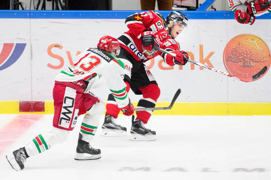 Moras Emil Bejmo och Malmö Redhawks Joey Tenute