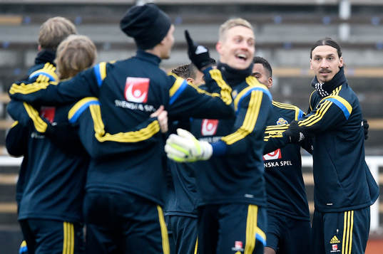 Sveriges Zlatan Ibrahimovic och hans lagkamrater