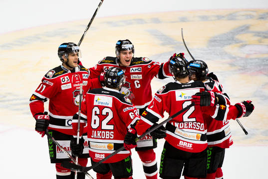 Malmö Redhawks spelare jublar