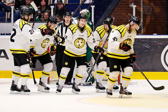 Brynäs Greg Scott firas