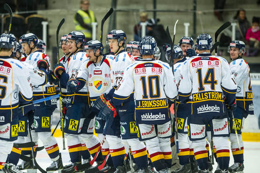 Djurgårdens jublar
