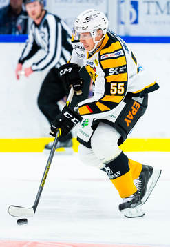 Skellefteås Martin Sevc