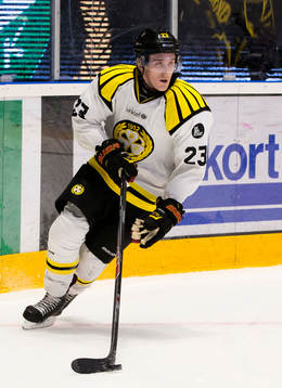 Brynäs Bill Sweatt
