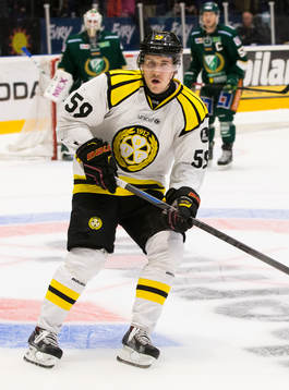 Brynäs Sebastian Enterfeldt