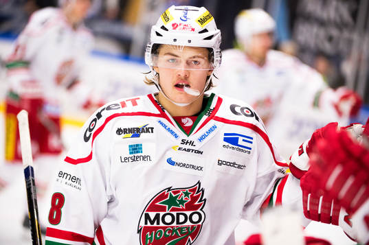 Modos William Nylander jublar