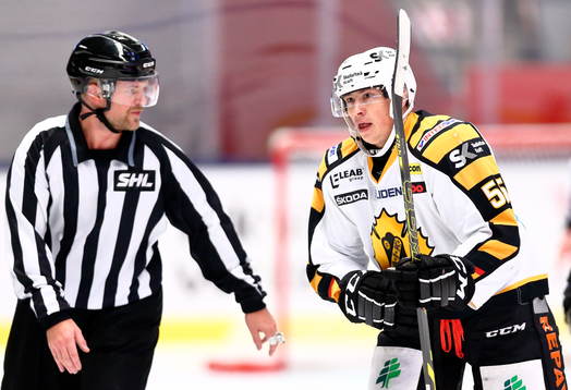 Skellefteås Martin Sevc jublar intill domareefter mål 1-3