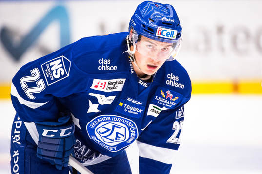 Leksands Martin Grönberg