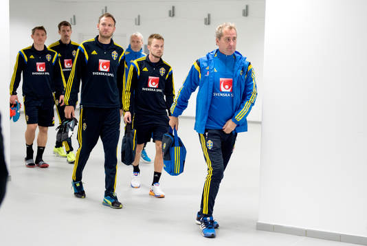 De svenska spelarna med förbundskapten Erik Hamrén i