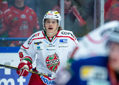 Modos William Nylander