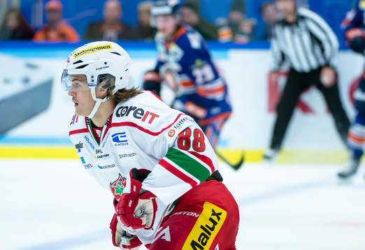 Modos William Nylander