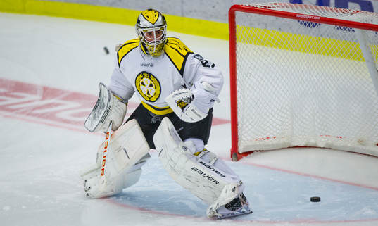 Brynäs målvakt Bernhard Starkbaum
