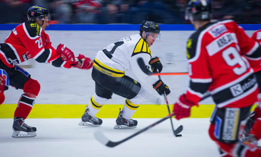 Brynäs Greg Scott