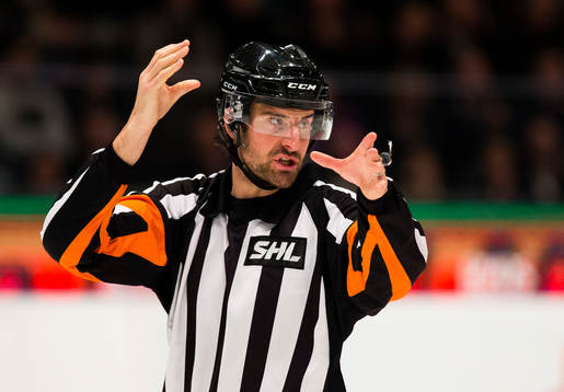 Domare Mikael Sjöqvist