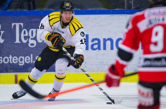 Brynäs Anton Rödin
