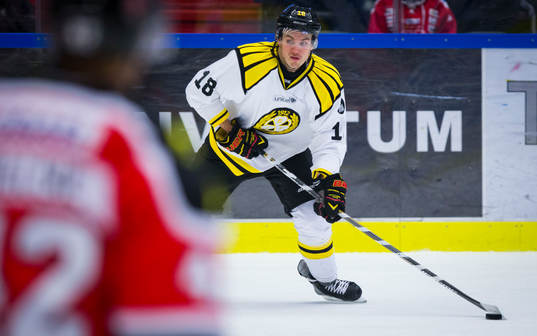 Brynäs Anton Rödin