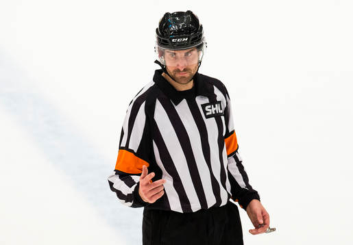 Domare Mikael Sjöqvist