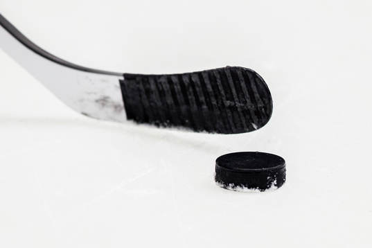 En puck och ett blad