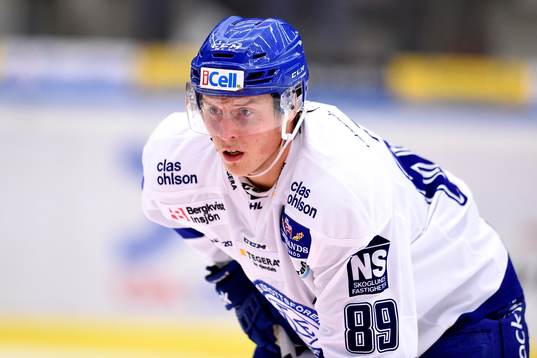 Leksands David Åslin