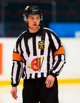 Domare Johan Häll