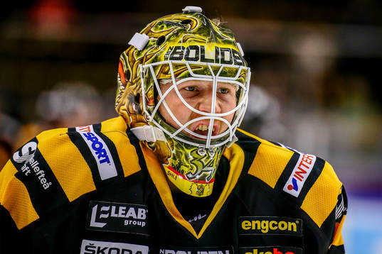 Skellefteås målvakt Erik Hanses