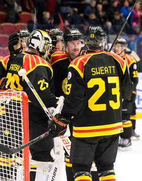 Brynäs spelare jublar