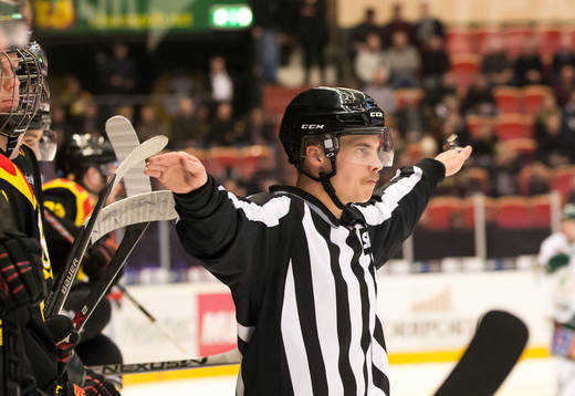 Linjedomare Tobias Nordlander