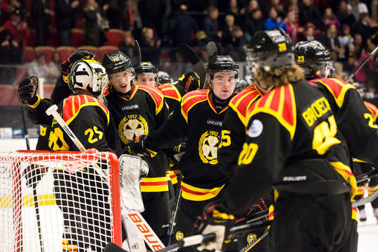 Brynäs spelare jublar
