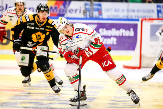 Modos William Nylander