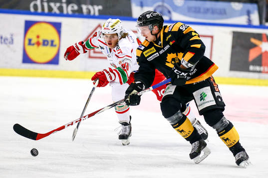 Skellefteås Tim Heed