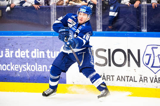 Leksands Brian Connelly