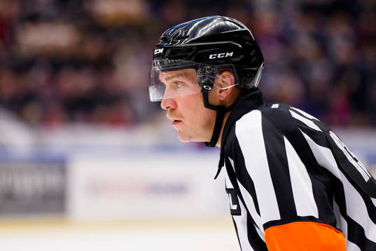 Domaren Morgan Johansson