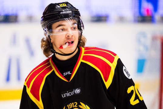 Brynäs Adam Brodecki deppar