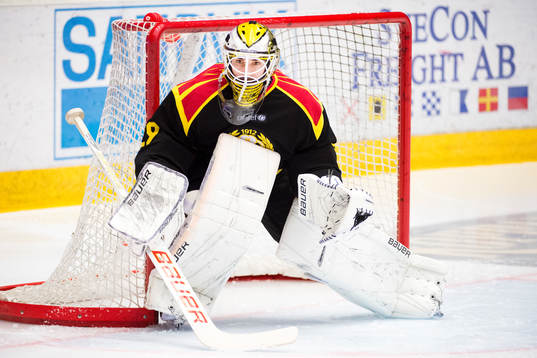 Brynäs målvakt Bernhard Starkbaum
