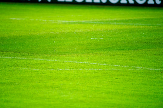 Färgskiftningar syns i gräsmattan på Swedbank Stadion i