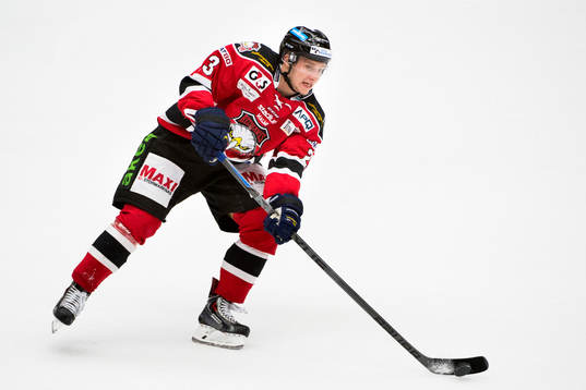 Malmö Redhawks Sebastian Strandberg