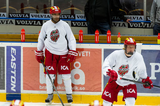 Donald Brashear tränar med sina lagkamrater