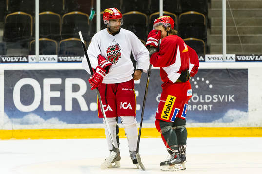 Donald Brashear och Modos William Nylander tränar med sina
