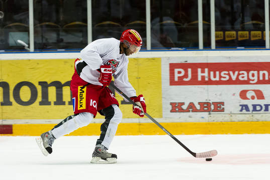 Donald Brashear tränar med sina lagkamrater