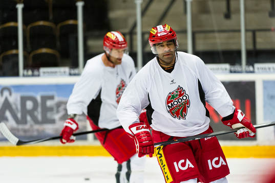 Donald Brashear, Gaétan Royer och tränar med sina