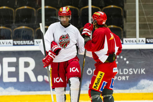 Modos  Donald Brashear och William Nylander