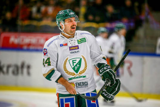 Färjestads Milan Gulas