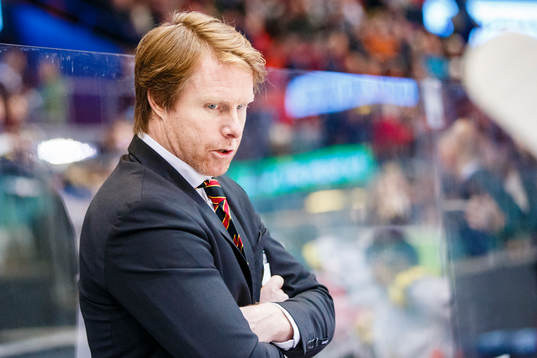 Brynäs assisterande Andreas Dackell