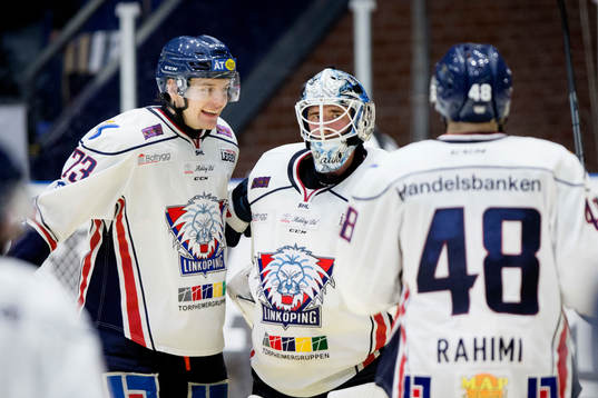 Linköpings målvakt David Rautio (mitten) jublar