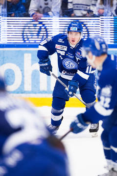 Leksands Brian Connelly